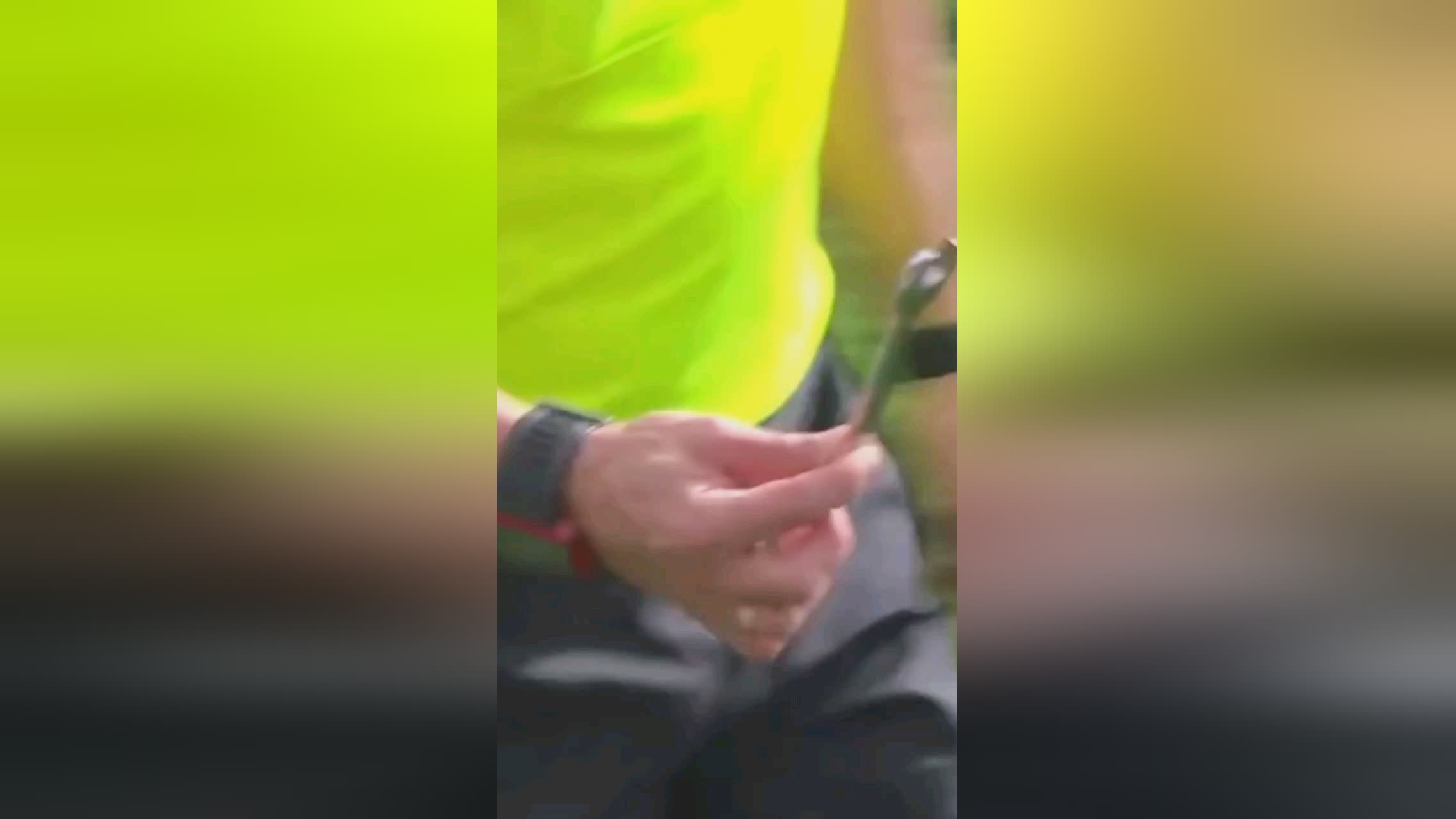 知悉