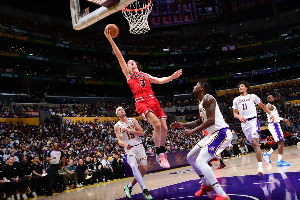 家致力于 家致力于